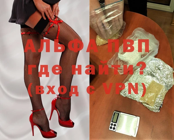 ГАЛЛЮЦИНОГЕННЫЕ ГРИБЫ Белокуриха