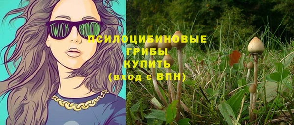 ГАЛЛЮЦИНОГЕННЫЕ ГРИБЫ Белокуриха