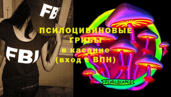 ГАЛЛЮЦИНОГЕННЫЕ ГРИБЫ Белокуриха