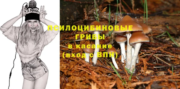 ГАЛЛЮЦИНОГЕННЫЕ ГРИБЫ Белокуриха