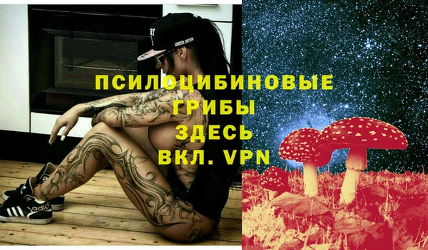 ГАЛЛЮЦИНОГЕННЫЕ ГРИБЫ Белокуриха
