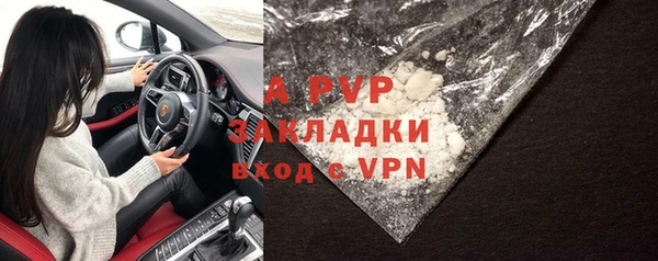 ГАЛЛЮЦИНОГЕННЫЕ ГРИБЫ Белокуриха