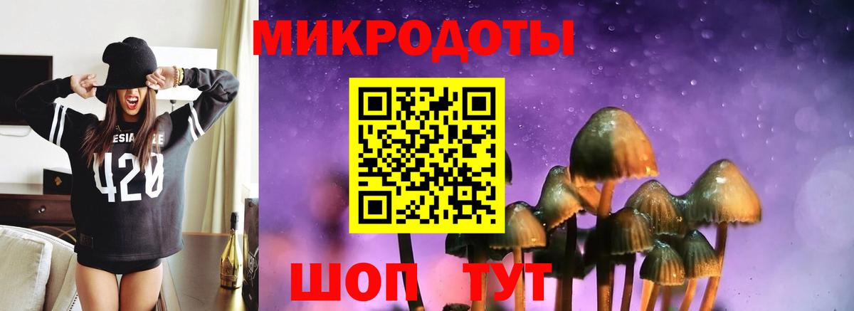 Галлюциногенные грибы Cubensis Острогожск